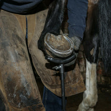 Load image into Gallery viewer, Farriers Equipment Tools Hoof Stand | adj height 15"-25" | Stores Flat | Hoof Trimming - Farriers Equipment