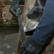 Load image into Gallery viewer, 14" Save Edge Horse Hoof Rasp | Farrier Tools - Farriers Equipment
