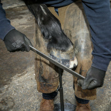 Load image into Gallery viewer, 14" Excel Legend Horse Hoof Rasp | Farrier Tools - Farriers Equipment
