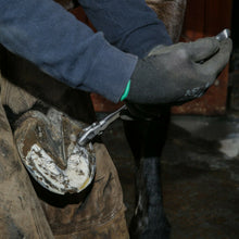 Load image into Gallery viewer, Farriers Equipment Tools | 12" 14" 15" HOOF CUTTERS | FULL DIE CHROME VANADIUM - Farriers Equipment
