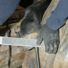 Load image into Gallery viewer, 14" Excel Legend Horse Hoof Rasp | Farrier Tools - Farriers Equipment
