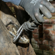 Load image into Gallery viewer, Farriers Equipment Tools | 14" ROUND Hoof Testers | Chrome Vanadium - Farriers Equipment
