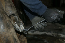 Load image into Gallery viewer, Farriers Equipment Tools | 12" 14" 15" HOOF CUTTERS | FULL DIE CHROME VANADIUM - Farriers Equipment
