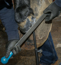 Load image into Gallery viewer, 14" Excel Legend Horse Hoof Rasp | Farrier Tools - Farriers Equipment
