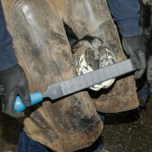 Load image into Gallery viewer, 14" Save Edge Horse Hoof Rasp | Farrier Tools - Farriers Equipment
