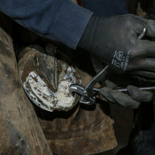 Load image into Gallery viewer, Farriers Equipment Tools | 12" 14" 15" HOOF CUTTERS | FULL DIE CHROME VANADIUM - Farriers Equipment
