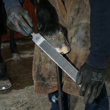 Load image into Gallery viewer, 14" Save Edge Horse Hoof Rasp | Farrier Tools - Farriers Equipment
