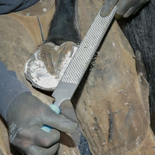 Load image into Gallery viewer, 14" Save Edge Horse Hoof Rasp | Farrier Tools - Farriers Equipment
