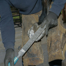 Load image into Gallery viewer, 14" Save Edge Horse Hoof Rasp | Farrier Tools - Farriers Equipment
