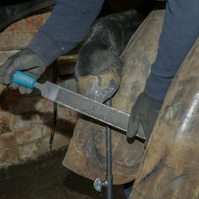Load image into Gallery viewer, 14" Save Edge Horse Hoof Rasp | Farrier Tools - Farriers Equipment
