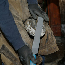 Load image into Gallery viewer, 14" Mercury Horse Hoof Rasp | Farrier Tools - Farriers Equipment
