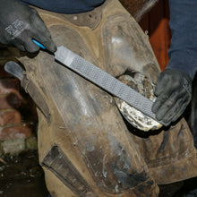 Load image into Gallery viewer, 14" Save Edge Horse Hoof Rasp | Farrier Tools - Farriers Equipment
