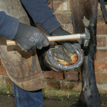 Load image into Gallery viewer, Farriers Equipment Tools | 14 oz Horse shoe Nail Nailing on Hammer - Farriers Equipment
