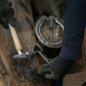 Farriers Equipment Tools | Classic Hoof Buffer | Right Left Clinch Cutter | Chrome Vanadium - Farriers Equipment